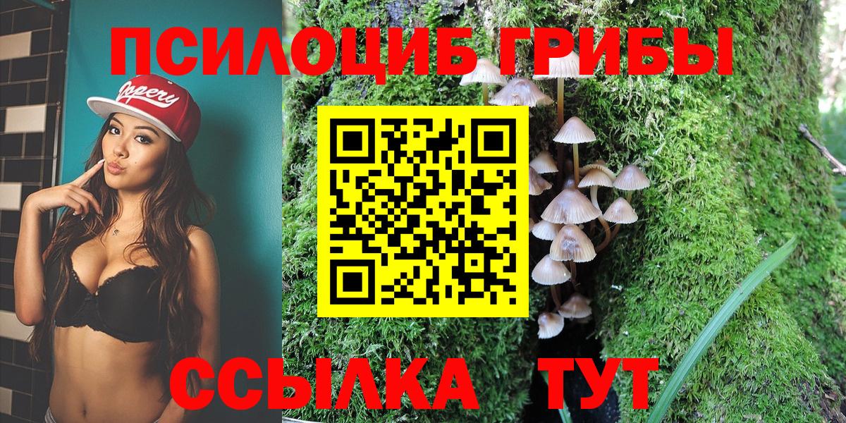 Альметьевск  Псилоцибиновые грибы Psilocybe  Вход с VPN  Псилоцибиновые грибы прущие грибы 